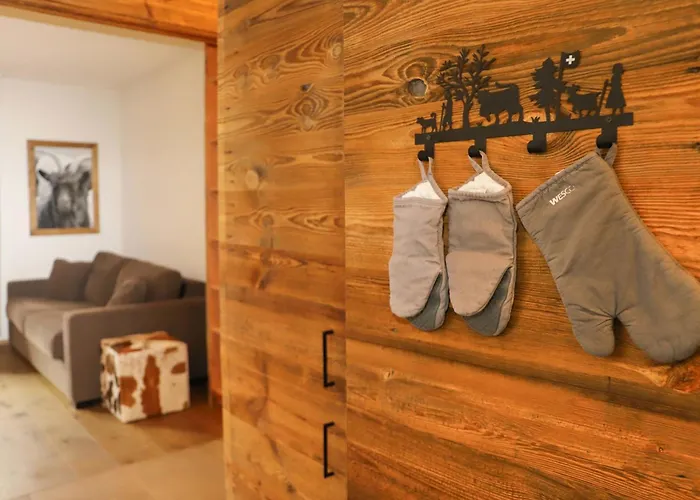 Lägenhet Papillon By Interhome Zermatt