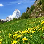 Papillon By Interhome * Zermatt
